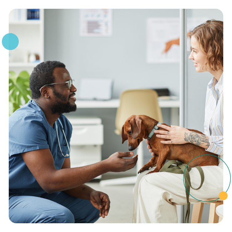 veterinary worker with owner and their dachsund